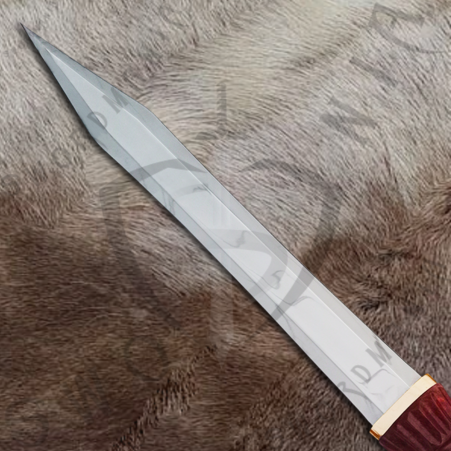 Gladiator II Roman Maximus Short Sword with Wall Plaque and Scabbard